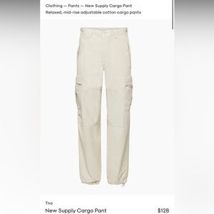 Aritzia tna supply cargo pants